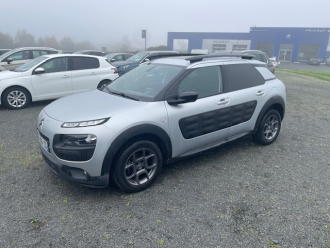 Photo 3322226 - Citroën C4 Cactus PureTech 110 S&S BVM Shine