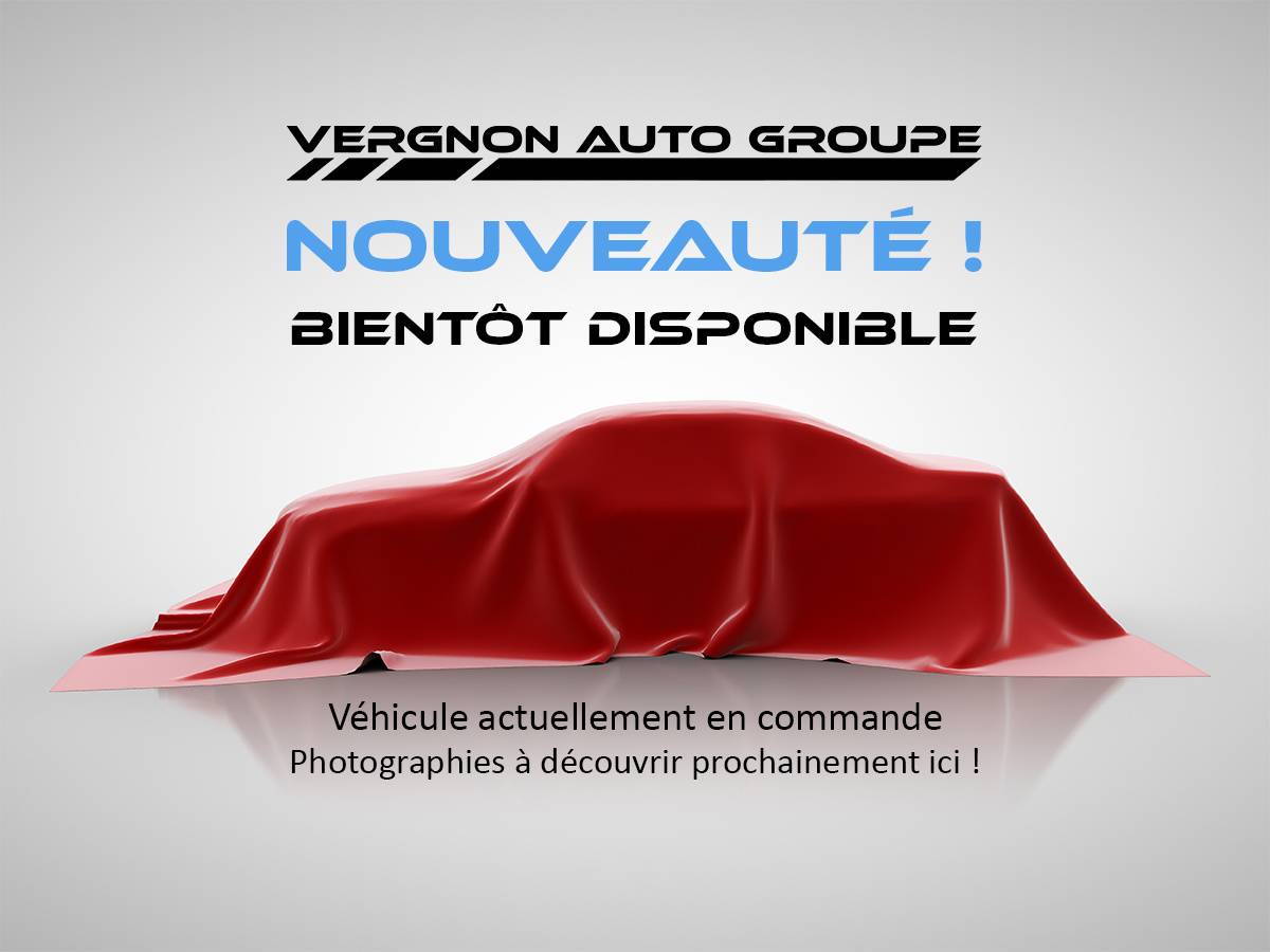 Dacia Spring Business 2020 - Achat Intégral groupe Vergnon