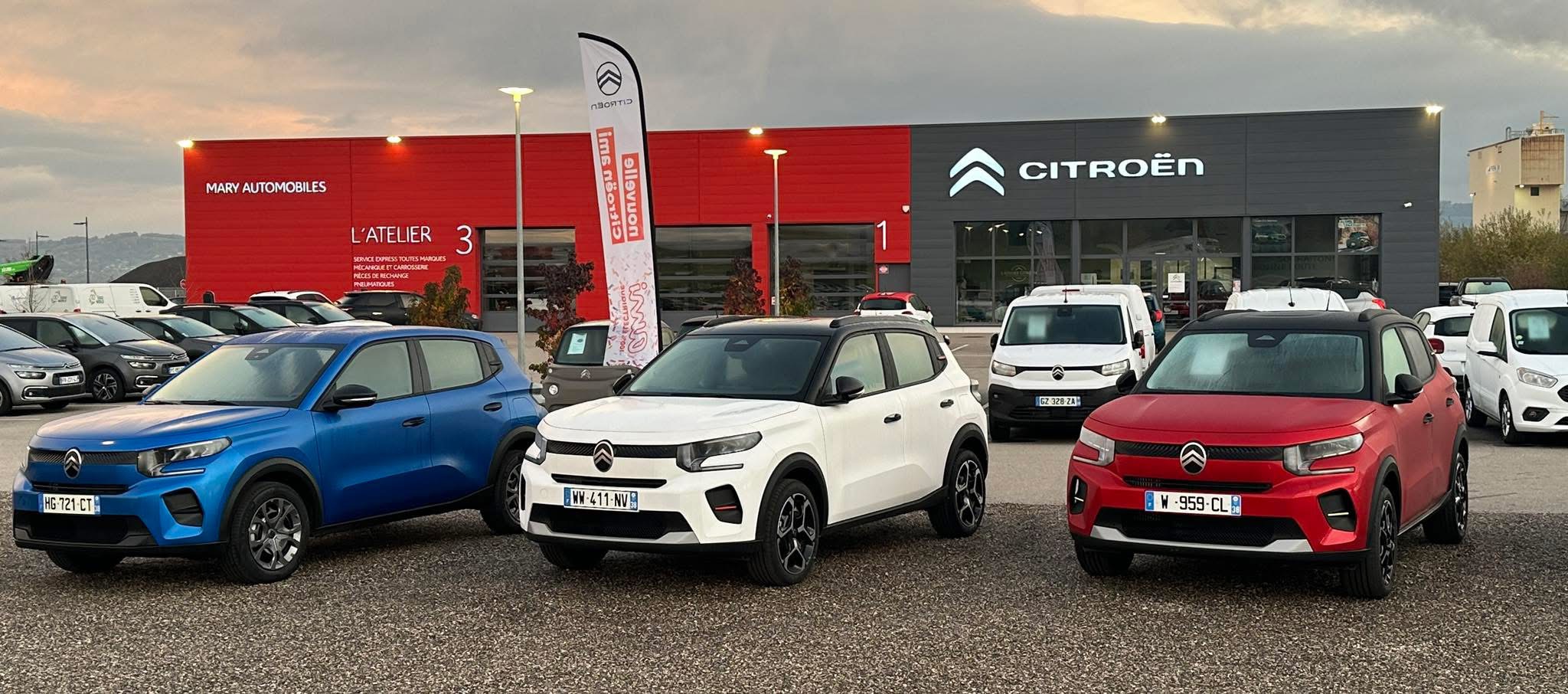 Logo Mary Automobiles eurl Denis Plantier