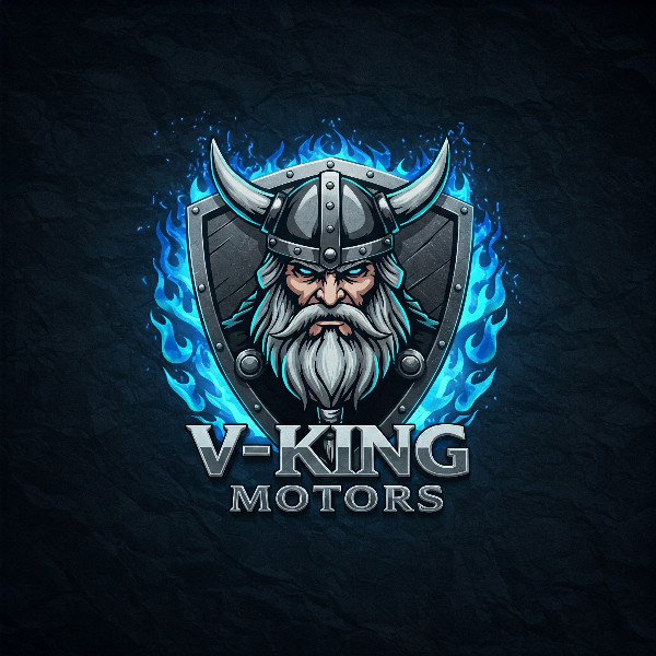 Logo V-KING MOTORS | Un Partenaire Solide !